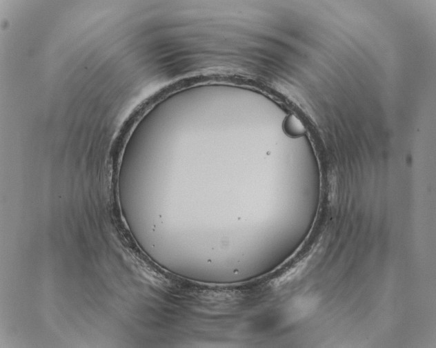 X0000089361021200707061044