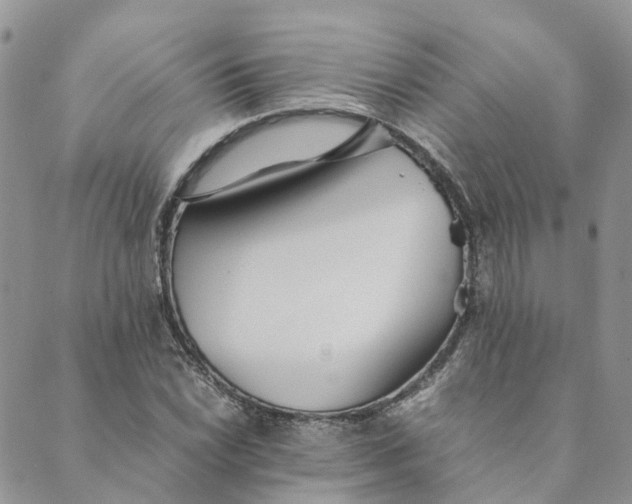 X0000089361022200707061044