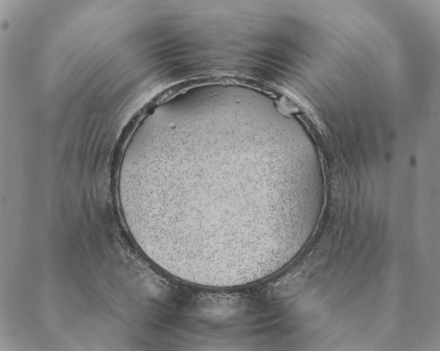 X0000089361023200707061044