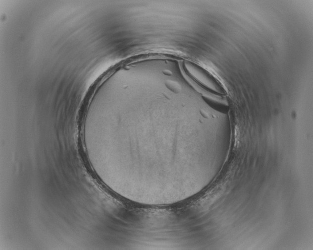 X0000089361024200707061044