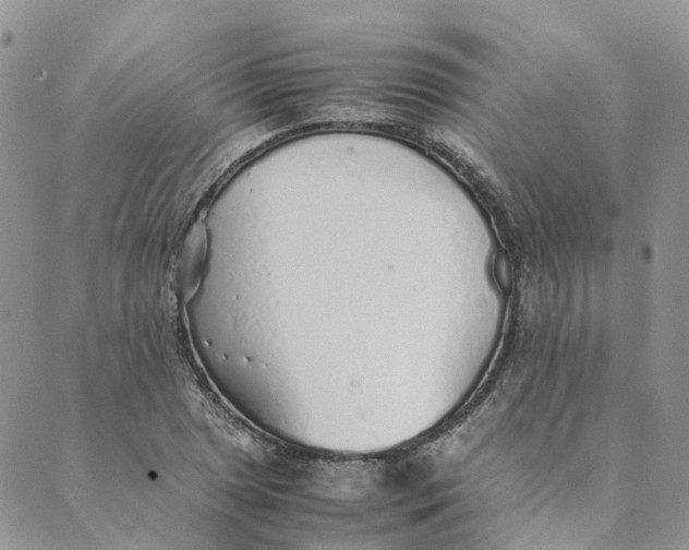 X0000089361025200707061044