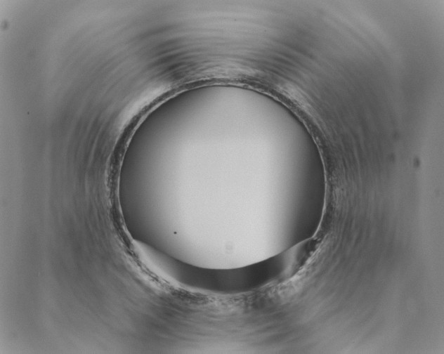 X0000089361026200707061044