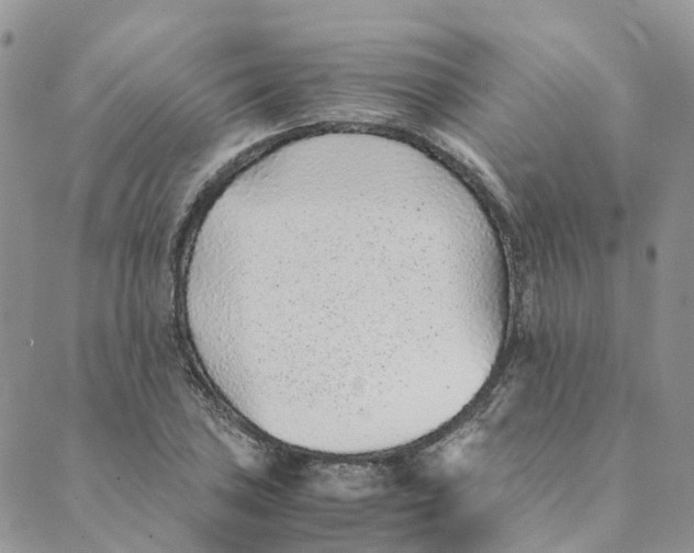 X0000089361027200707061044