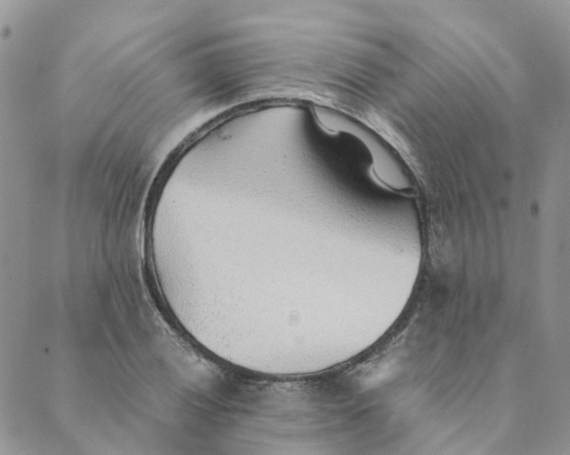 X0000089361028200707061044