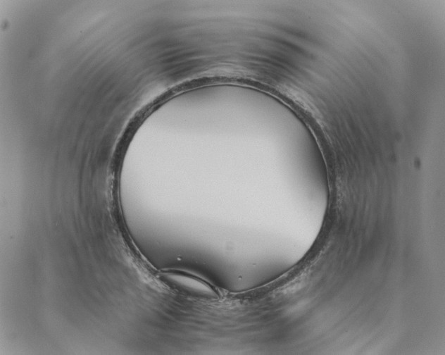 X0000089361029200707061044