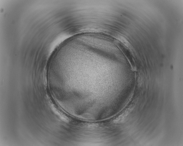 X0000089361030200707061044