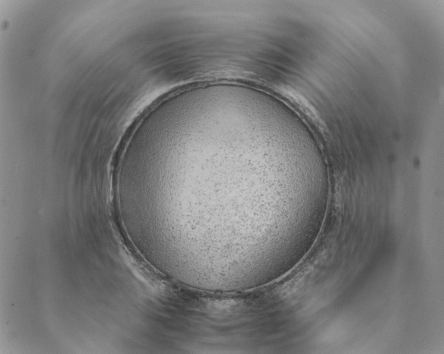 X0000089361031200707061044