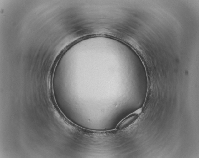 X0000089361032200707061044