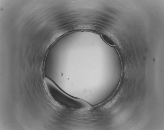 X0000089361033200707061044