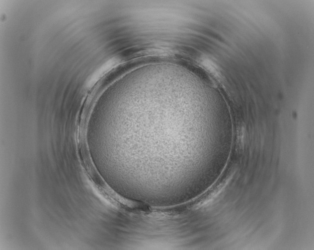 X0000089361034200707061044