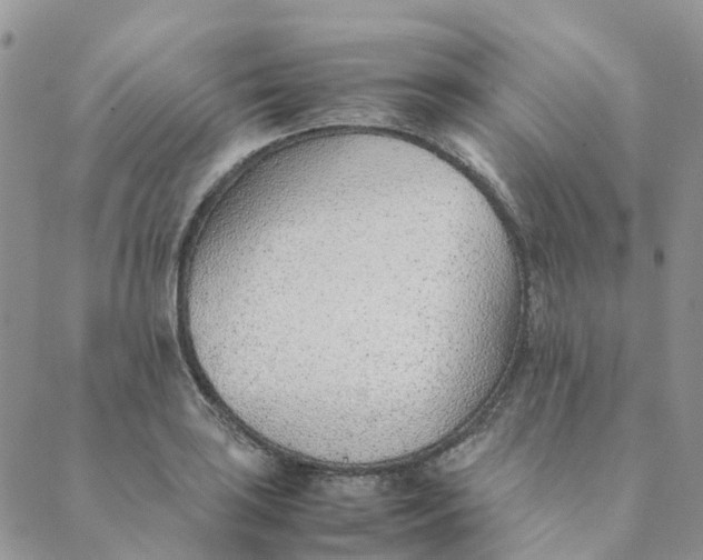 X0000089361035200707061044