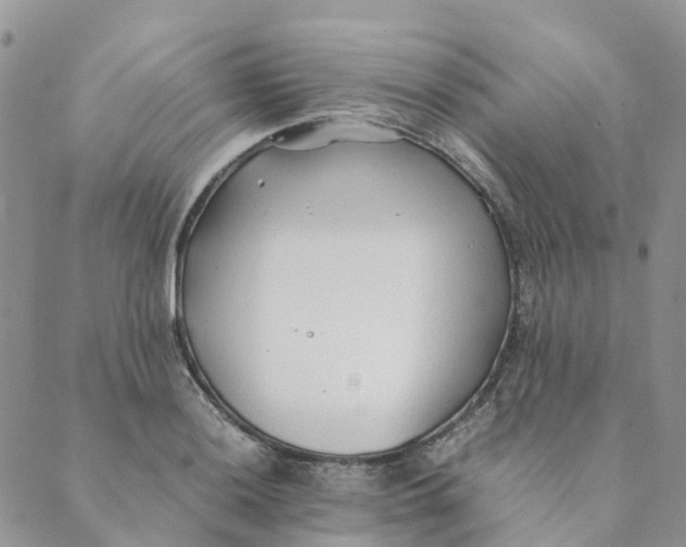 X0000089361036200707061044