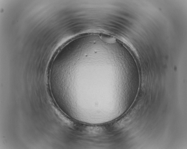 X0000089361037200707061044