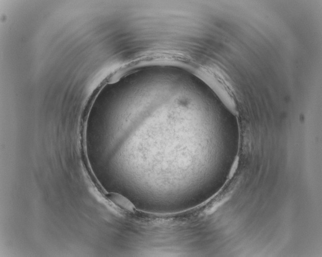 X0000089361038200707061044