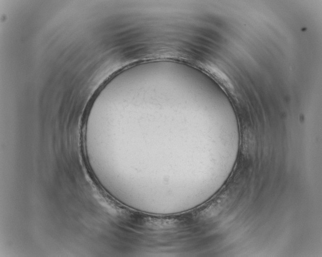 X0000089361039200707061044