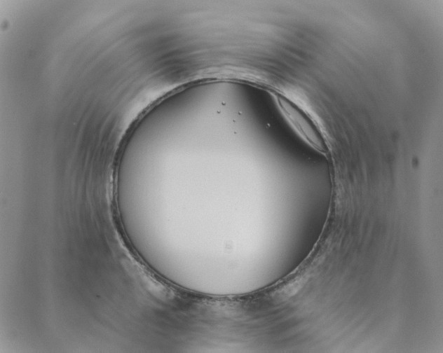 X0000089361040200707061044