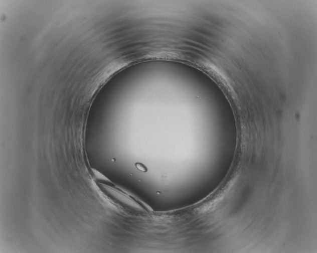 X0000089361041200707061044