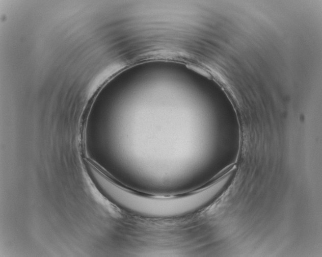 X0000089361042200707061044