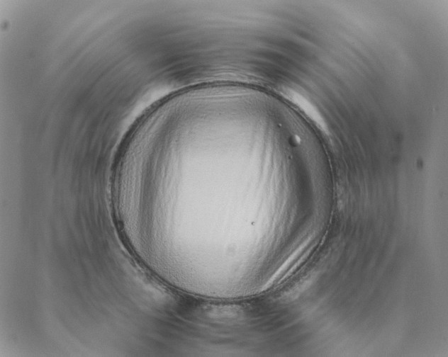 X0000089361043200707061044