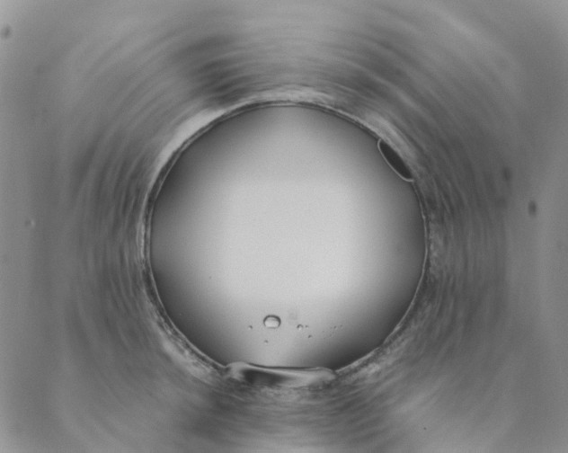 X0000089361044200707061044