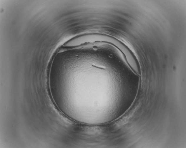 X0000089361045200707061044