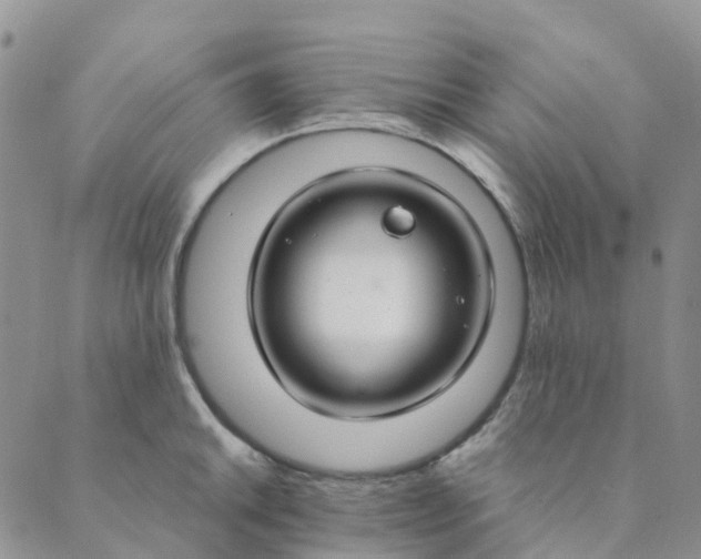 X0000089361046200707061044