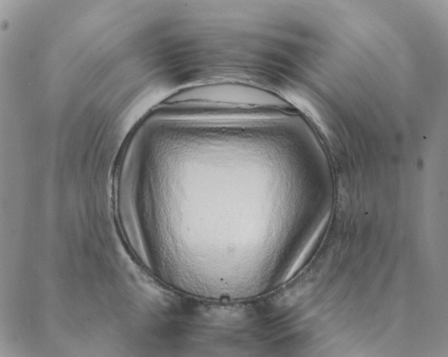 X0000089361047200707061044