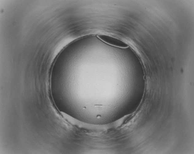 X0000089361048200707061044