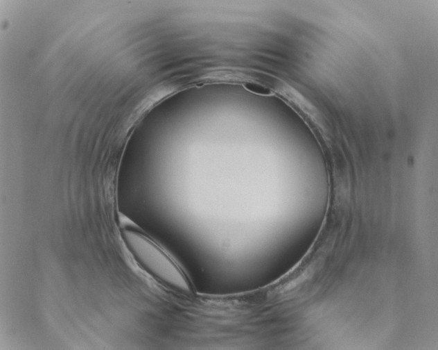 X0000089361049200707061044