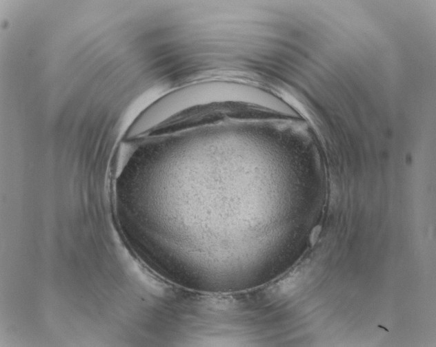 X0000089361050200707061044