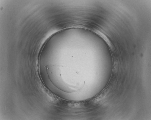 X0000089361051200707061044