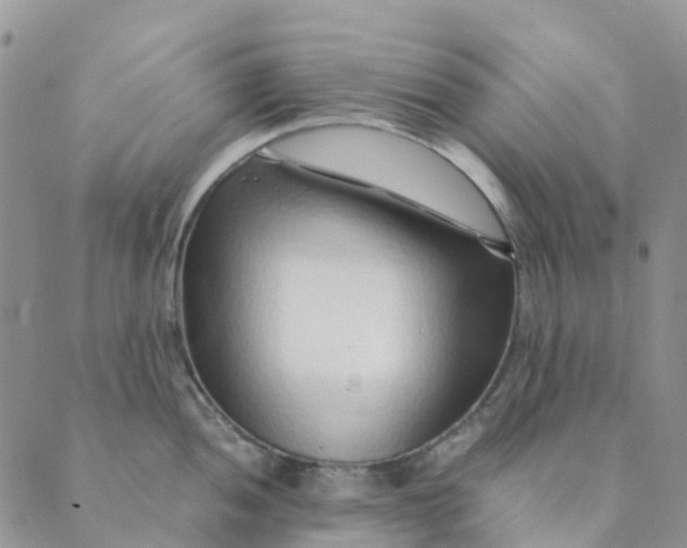 X0000089361052200707061044