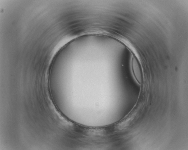 X0000089361053200707061044