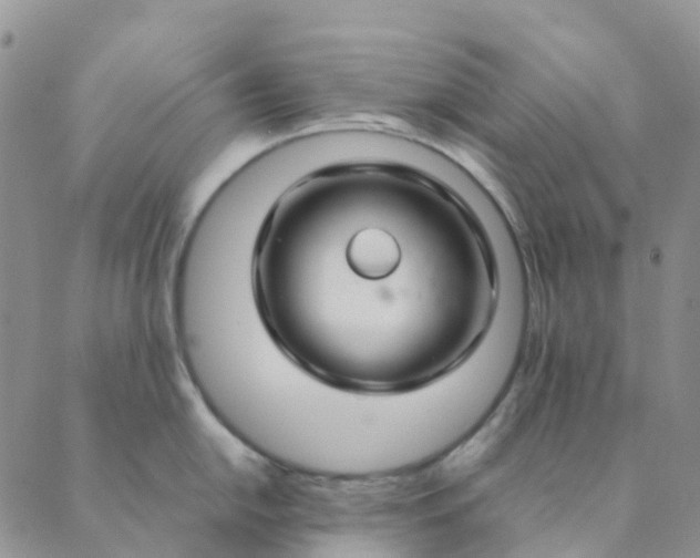 X0000089361054200707061044