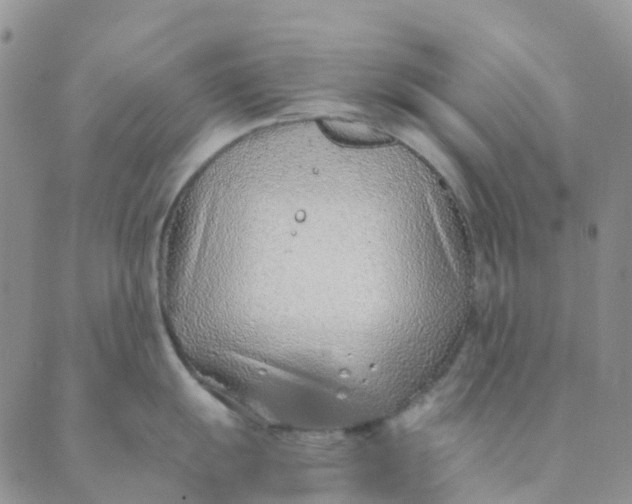 X0000089361055200707061044