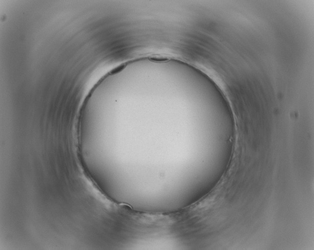 X0000089361056200707061044