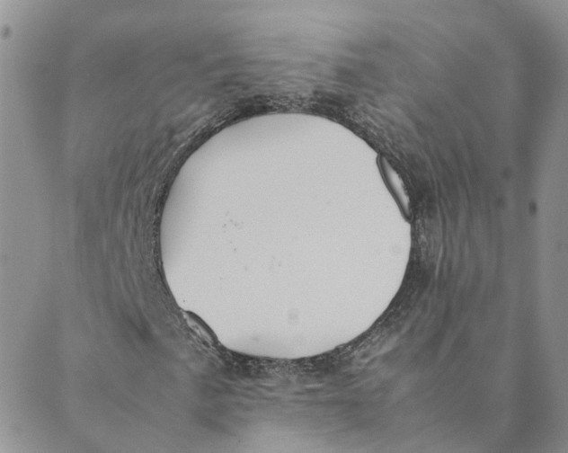 X0000089361057200707061044