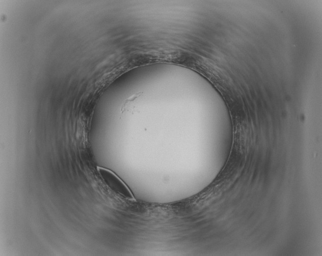 X0000089361058200707061044