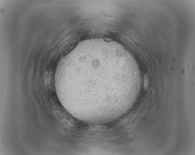 X0000089361059200707061044