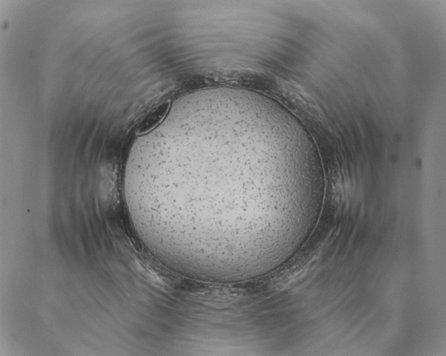 X0000089361060200707061044