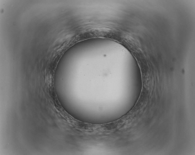 X0000089361061200707061044