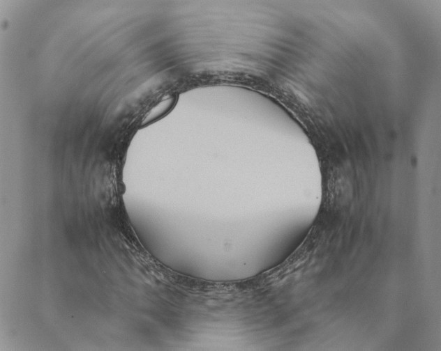 X0000089361062200707061044