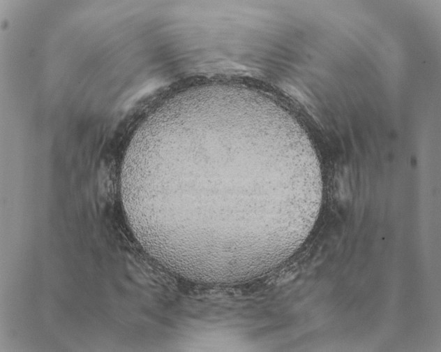 X0000089361063200707061044