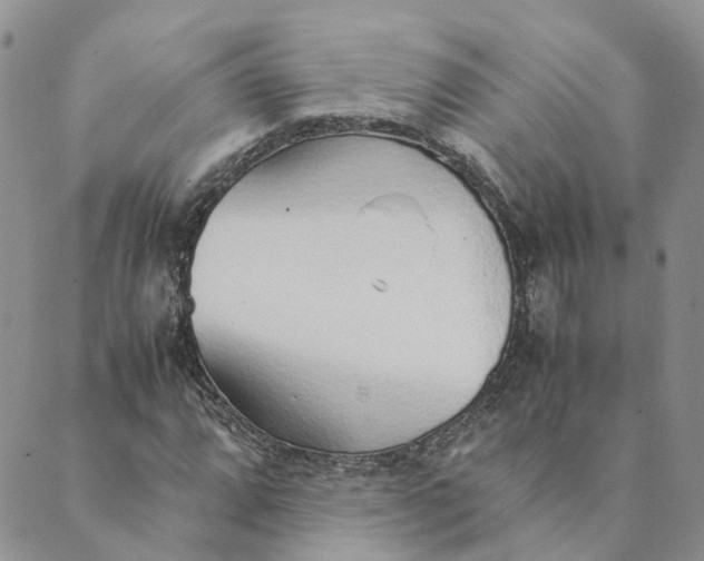 X0000089361064200707061044