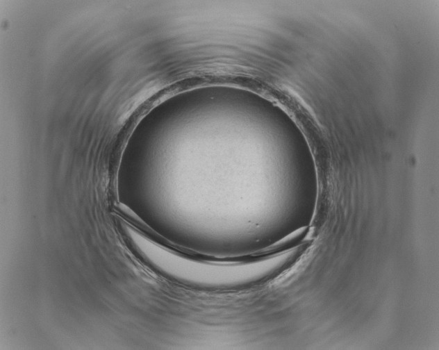 X0000089361065200707061044