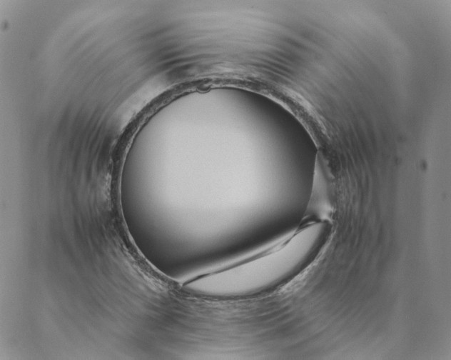 X0000089361066200707061044