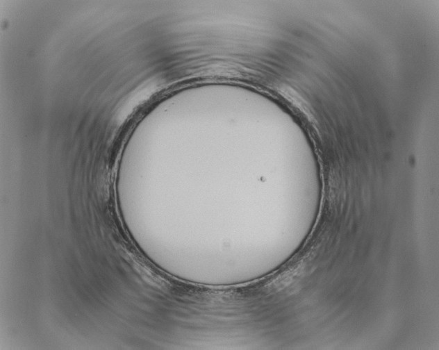 X0000089361067200707061044