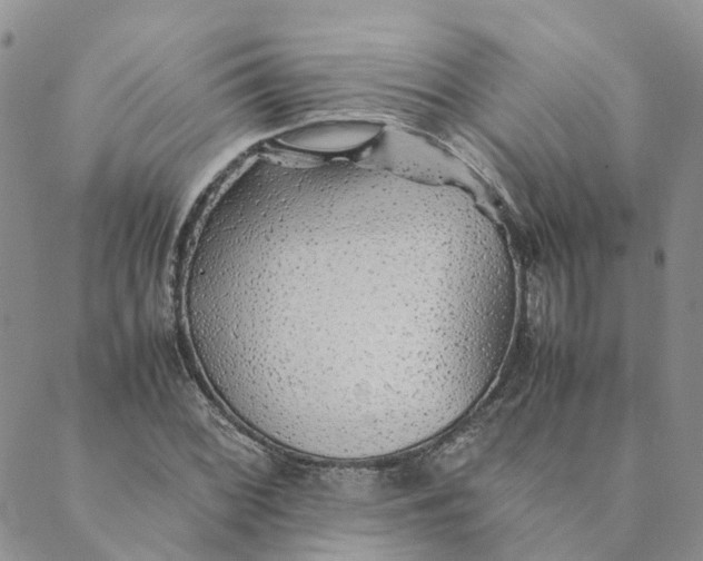 X0000089361068200707061044