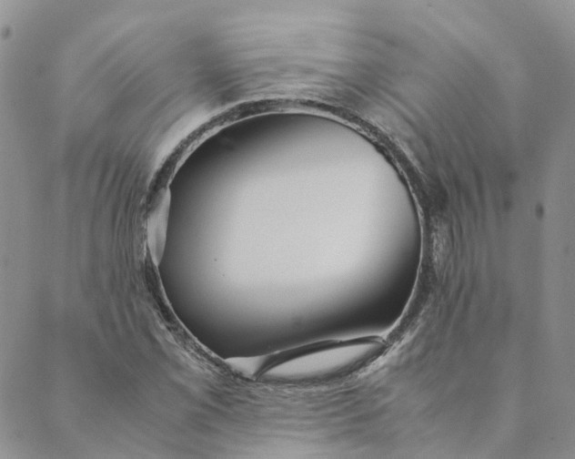 X0000089361069200707061044