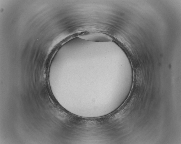 X0000089361070200707061044